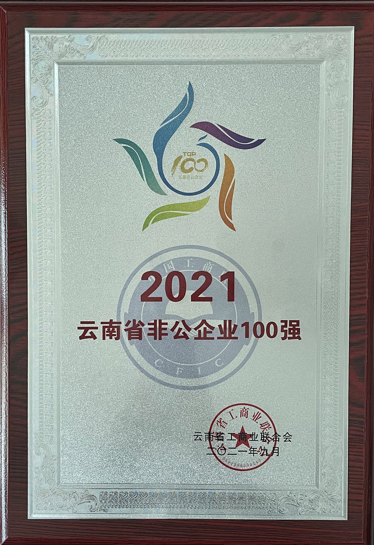 2021年云南省非公企業100強